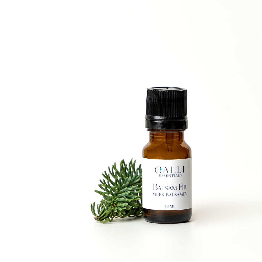 100% Pure Balsam Fir Essential Oil - Abies Balsamea  10ML - Calli Essentials - 100% Natural Skin Care Products - Pure Essential Oils 