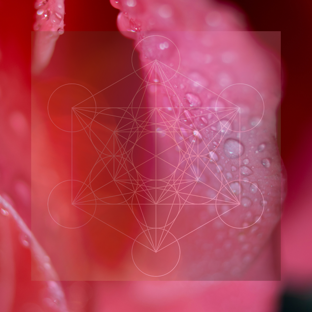 Hydrating Mist – Hydrosols for Skin Healing & Heart Chakra Balancing