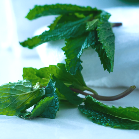 Bet You Didn't Know You Could Use Peppermint For All of This