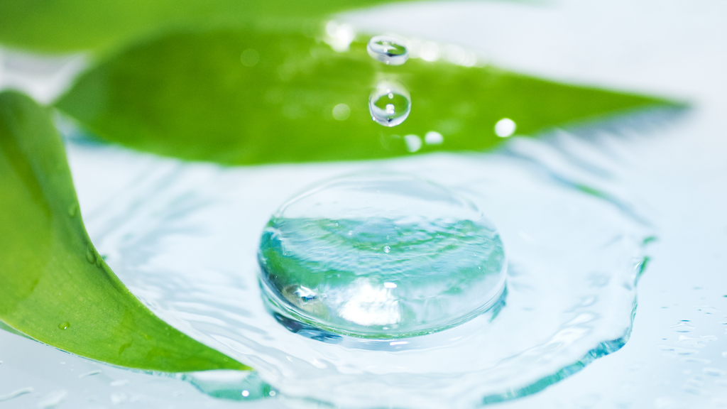 Wonder Waters - What Are Hydrosols