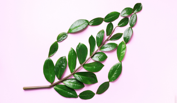 Calli Essentials: Natural Skincare Products That Are Vegan and Cruelty-Free